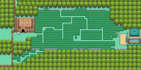 Route 11