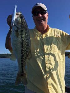 Jimbo S Lake Lanier Spotted Bass Fishing Report Jimbo On