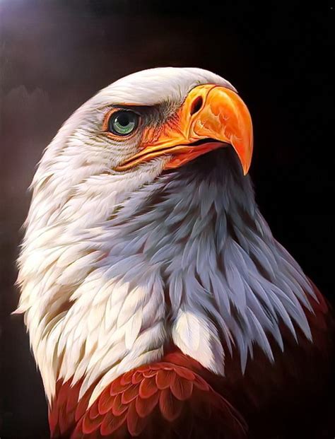 Eagle Oil Painting at PaintingValley.com | Explore collection of Eagle ...