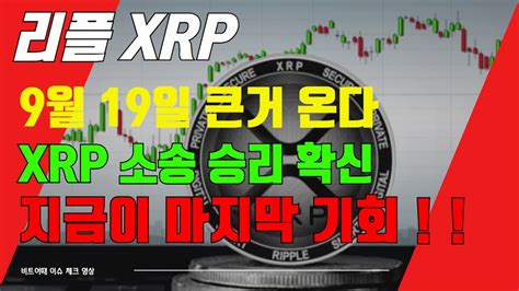 리플 Xrp 9월 19일 큰거 온다 Xrp 소송 승리 확신 지금이 마지막 기회 Youtube