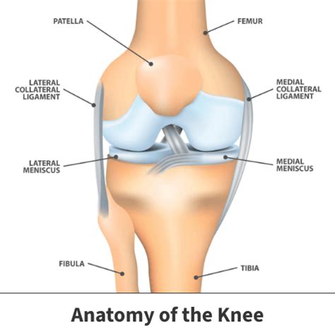 MCL Tear Causes & Treatment | Florida Orthopaedic Institute