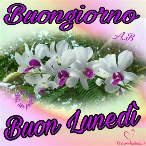 Immagini Di Buon Lunedi Morsodifame Blog