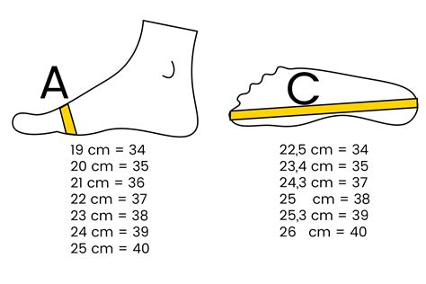 Shoe Size