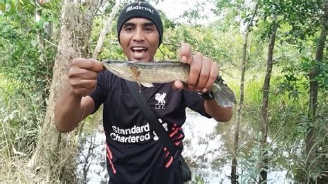 Mancing Gabus Dan Betok Rawa Youtube