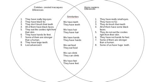 Viliami Mi @ Glenbrae School: similarities apes and humans