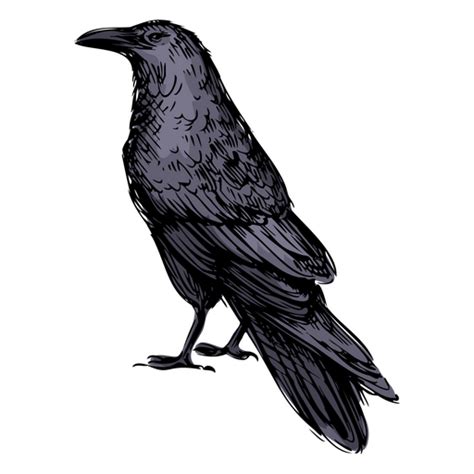 Png E Svg De Bird Fundo Transparente Para Baixar