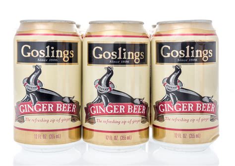 12 Best Ginger Beer Brands to Drink