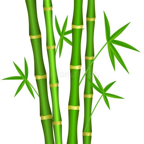 Green Bamboo Stems With Leaves On A White Background Stock Vector