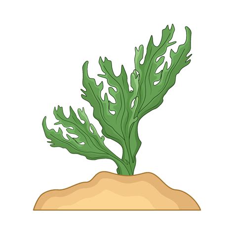 illustration of seaweed 46969582 Vector Art at Vecteezy