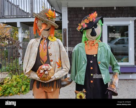 Two Scarecrows Hi Res Stock Photography And Images Alamy