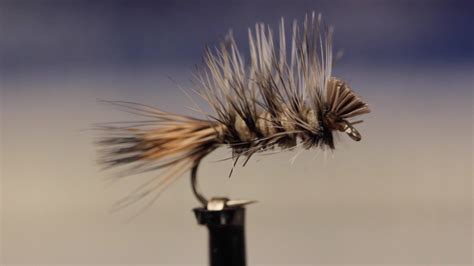 Classic Video How To Tie The Rough Water Caddis Fly Fishing Fly