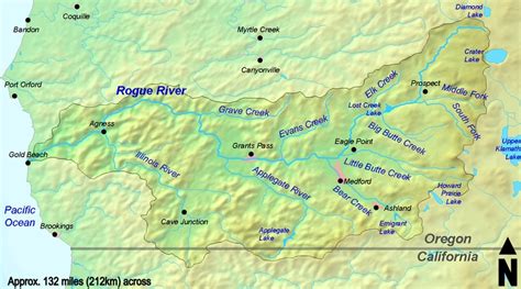 Salmon Are Booming In Oregons Rogue River Moldy Chum