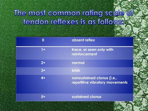 The Pulse and Deep Tendon Reflex Grading Scale