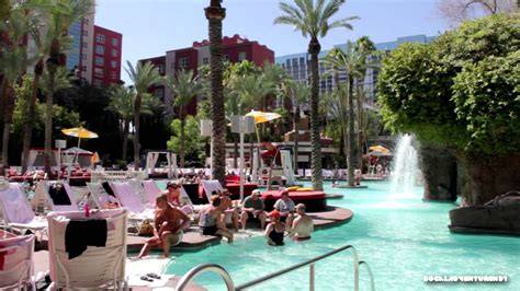 Flamingo las vegas hotel casino pool - nderam