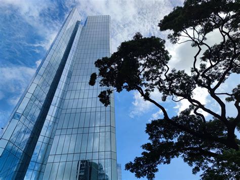 Ayala Triangle Gardens Tower Two