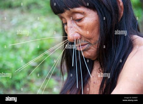 A Matses Mayorunas elderly woman with traditional whiskers and tattoos Amazonian Peru Stock ...