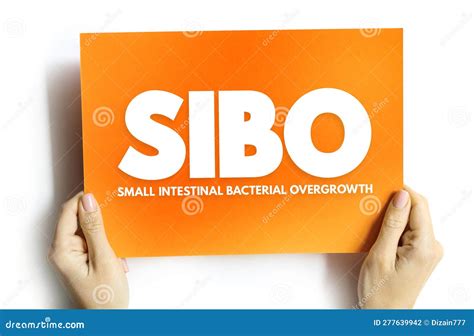 SIBO - Small Intestinal Bacterial Overgrowth Is An Imbalance Of The ...