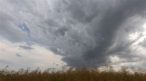 Unwettergefahr In Rheinland Pfalz Und Im Saarland Welt