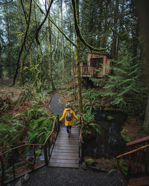 Treehouse Point: Washington State's Treehouse Getaway - Unusual Places