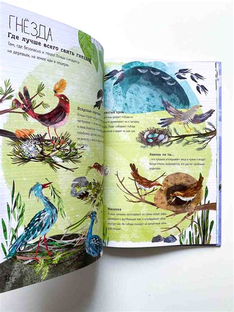 Большая книга птиц - Vilki Books