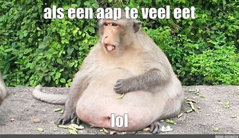 Meme Als Een Aap Te Veel Eet Lol All Templates Meme Arsenal