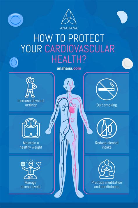How to Protect Your Cardiovascular Health | Cardiovascular health