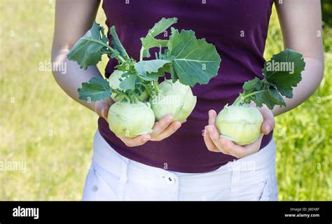 A Girl Holds Tender Fresh Turnip In Her Hand Stock Photo Alamy