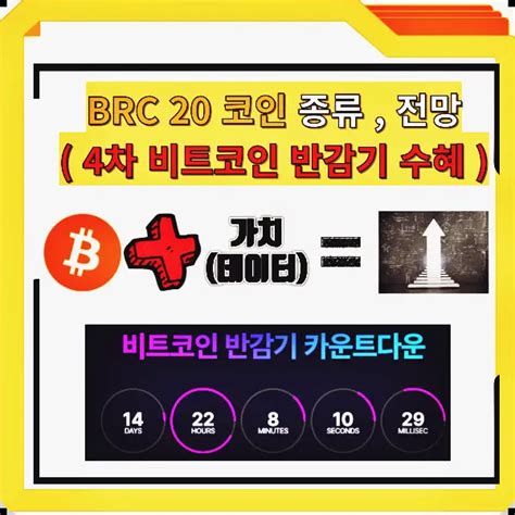 Brc 20 코인 종류 및 2024년 주목해야 하는 이유 비트코인 4차 반감기