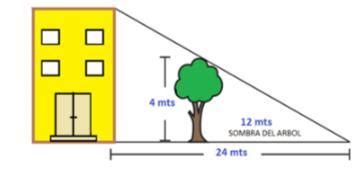 Un Rbol De M De Altura Proyecta Una Sombra De M Al Mismo