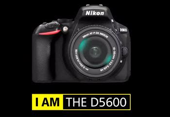 Nikon D5500 Vs. D5600: Which Entry-Level DSLR Should You Buy?