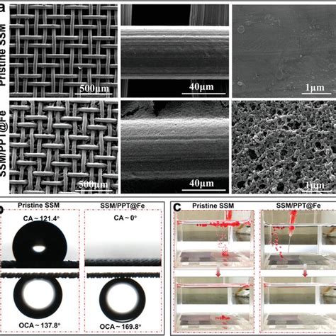 Topview And Crosssection SEM Images Of Obtained PPT Fex Membranes