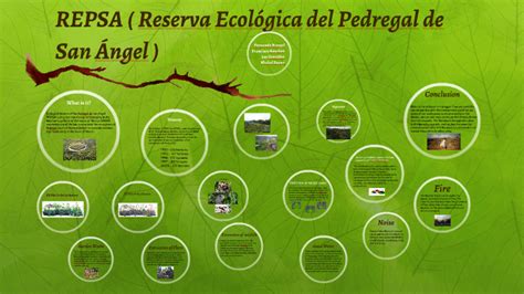 REPSA Reserva Ecológica del Pedregal de San Ángel by Ian Glez on