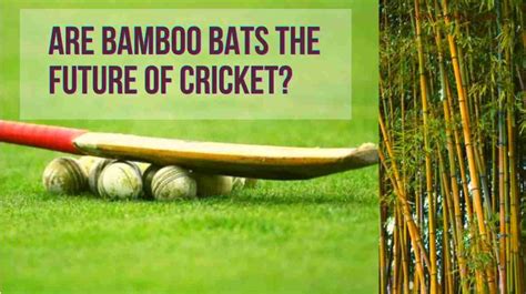 Are bamboo bats the future of cricket? - CricIndeed