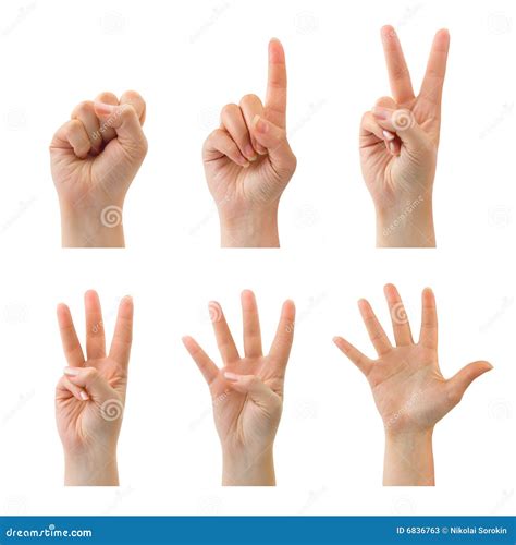 Counting hands (0 to 5) stock image. Image of concepts - 6836763