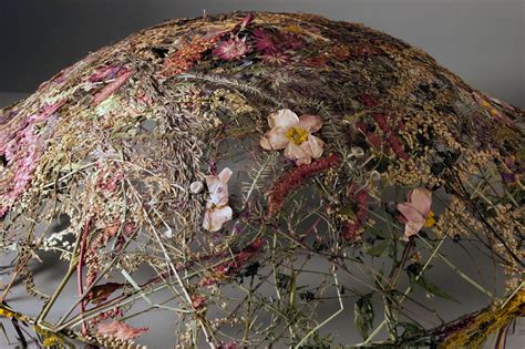 Испанский художник создает невероятно нежные скульптуры из засушенных ...