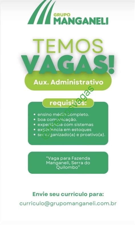 Auxiliar Administrativo Bom Jesus PI 01 Vaga S Themos Vagas