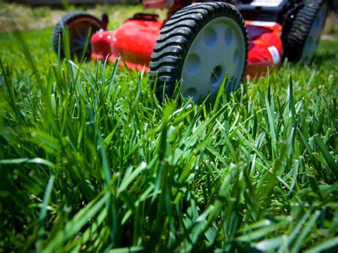 Be Smart About Lawn Care Hgtv