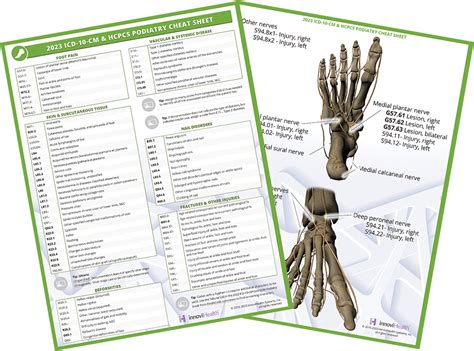 Innovihealth Systems Podiatry Icd 10 Cm And Hcpcs Cheat Sheet For 2023