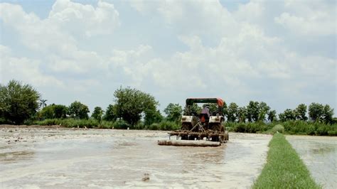 A Farmer Ploughing Rice Paddy Field With Tractor In A Rainy Se