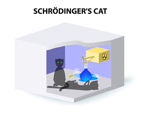 Is Schrödinger's Cat Dead Or Alive? » ScienceABC