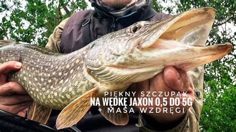 Szczupak Na Spinning Jaxon Blue Wind Youtube