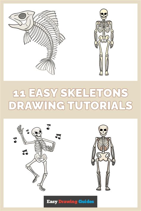 How To Draw A Skeleton Step By Step Design Psdtuts Skeleton Drawings