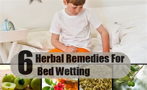 6 Herbal Remedies For Bed Wetting ~ Mzizi Mkavu