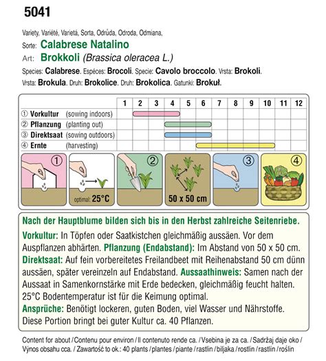 Brokkoli Calabrese Natalino Bio Brokkolisamen Von Austrosaat