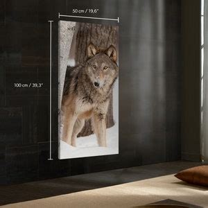 Grey Wolf Canis Lupus Peers Around Birch Tree Cotton Canvas Etsy