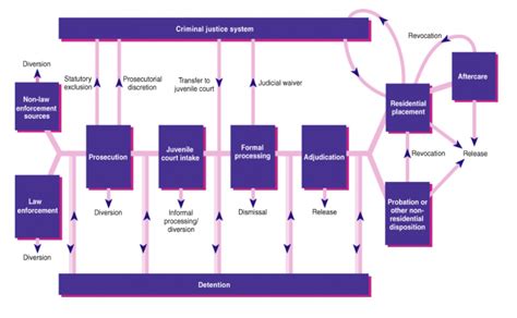 10 10 The Structure Of The Juvenile Justice System Sou Ccj230 Introduction To The American