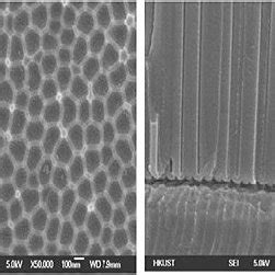 Sem Images Of The Surface Left And Cross Section Right Of The