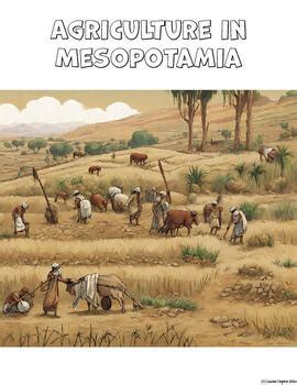 Agriculture in Mesopotamia by Mrs C on TPT | TPT