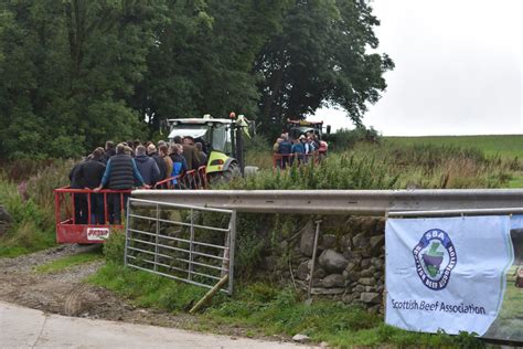 Sba Farm Walk Scott Hendersons Image Gallery National Beef