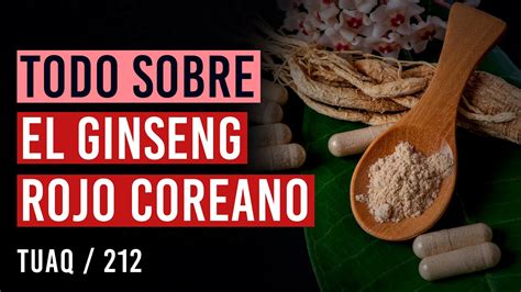 Todo Sobre El GINSENG ROJO COREANO YouTube